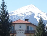 Michel