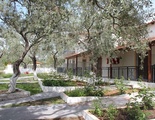 Pachis Beach Hotel