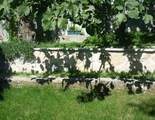 Guesthouse Stančić