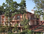 Oleander House