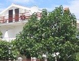 Franeta Apartments
