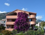 Apartment Marcic