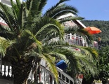 Radonjić Apartments