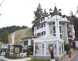 Alpin