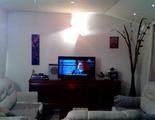 Studios Milošev