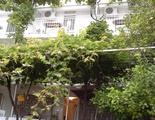 Apartments Steni