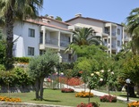 Barut Arum