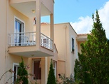 Amarilia Studios