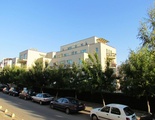 Aurelia