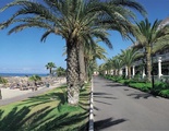 Cleopatra Palace
